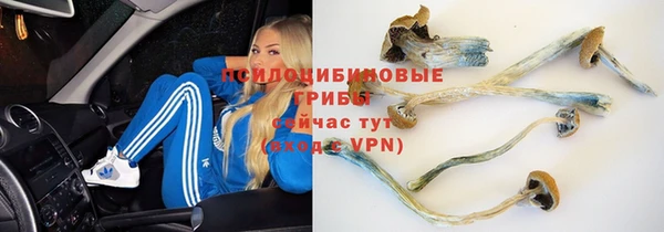 мяу мяу мука Гусев