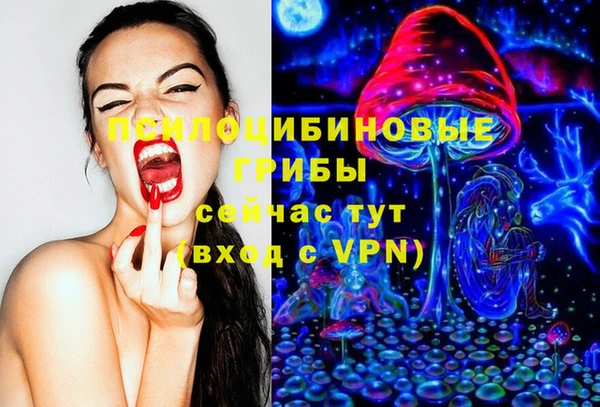 мяу мяу мука Михайлов